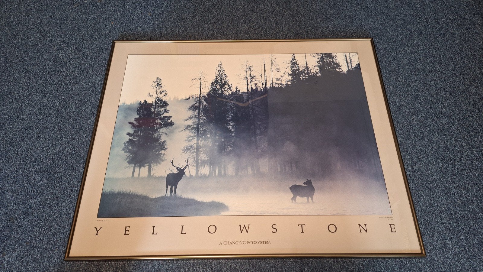 Ingelijste poster Yellowstone National Park 76x62 cm, Ophalen, Met lijst, Rechthoekig Liggend, Zo goed als nieuw