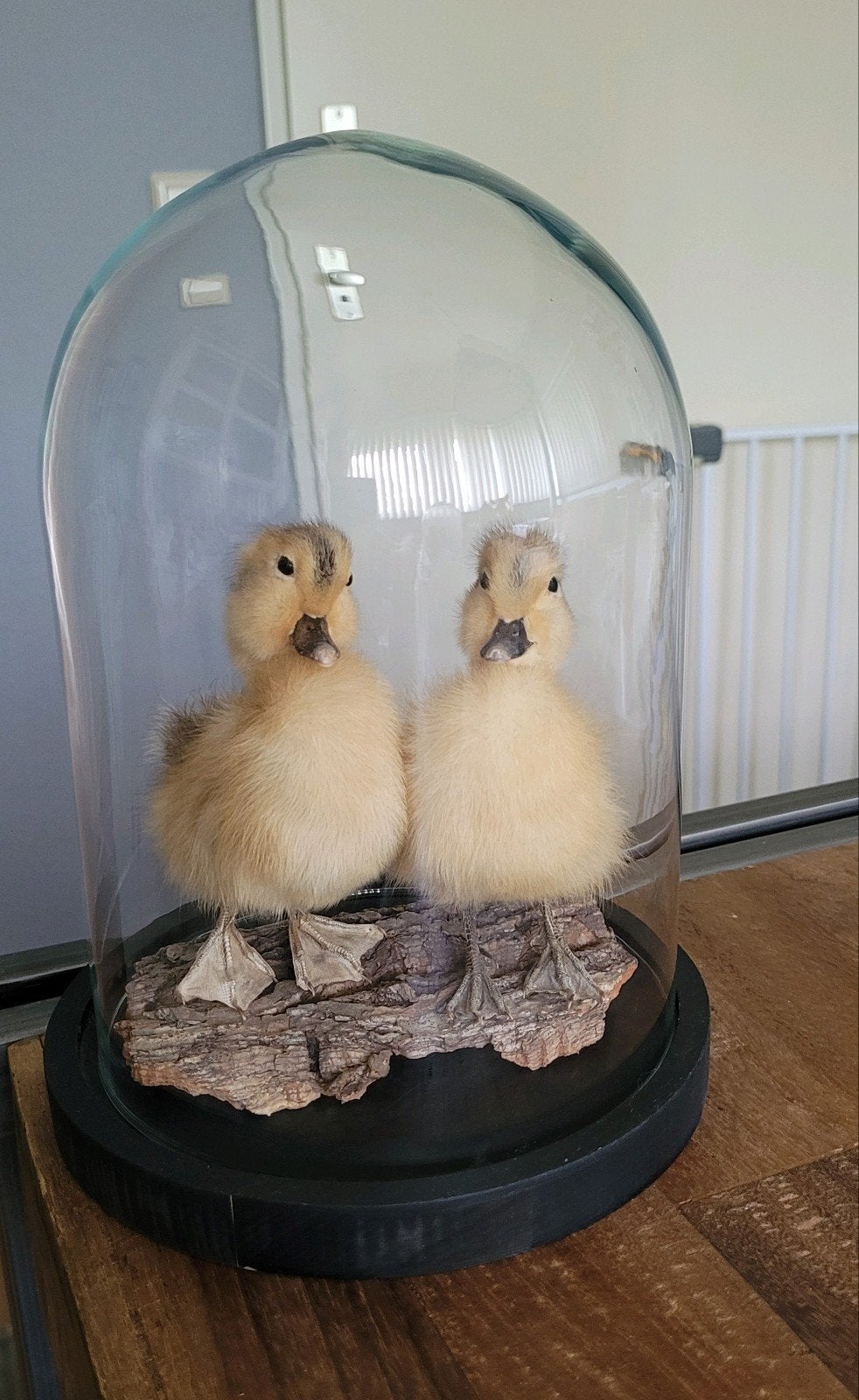 Opgezette eendjes in stolp, Ophalen of Verzenden, Zo goed als nieuw, Overige soorten, Opgezet dier