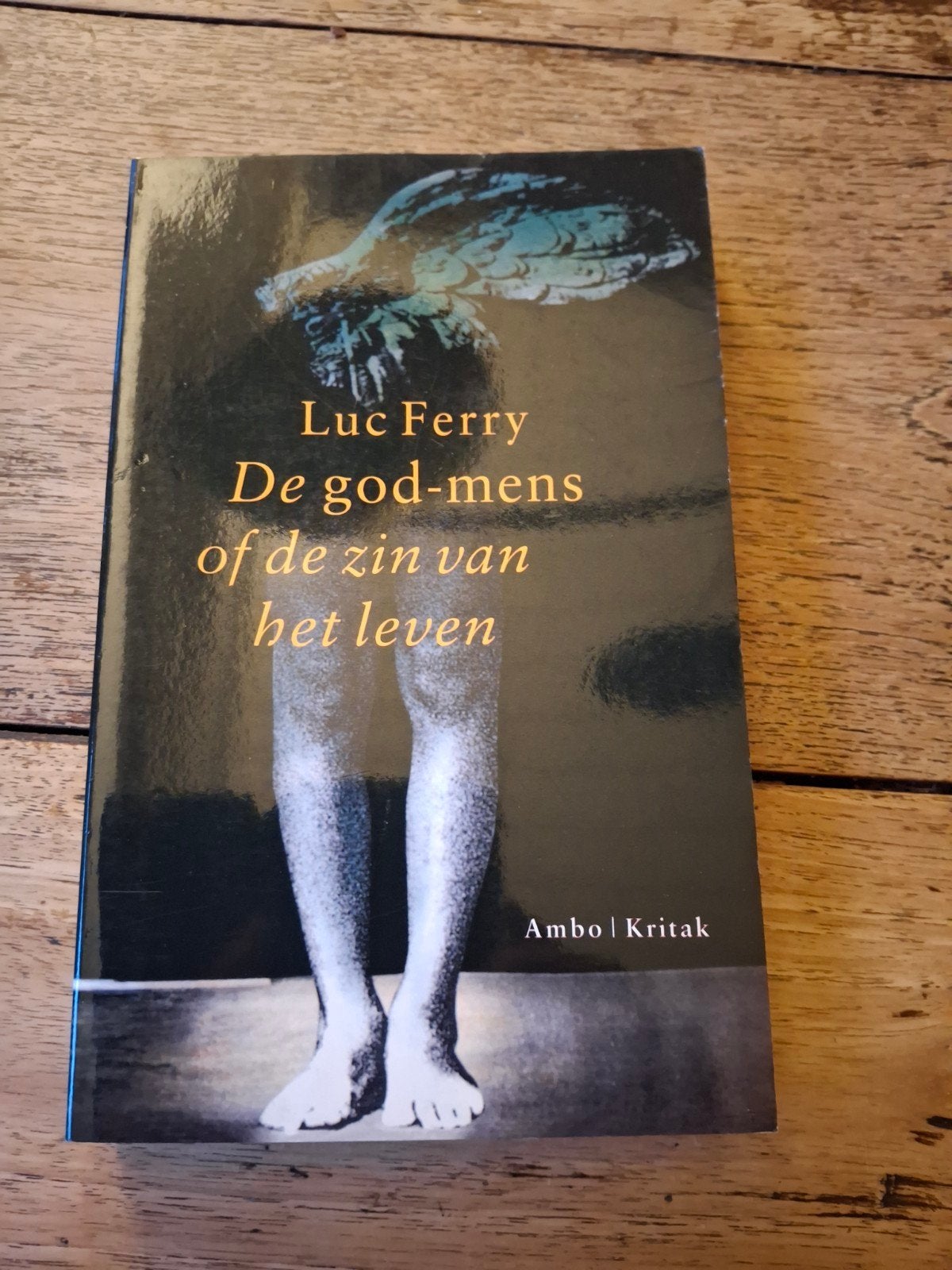 L. Ferry - De god-mens, of De zin van het leven, Ophalen of Verzenden, Zo goed als nieuw, L. Ferry