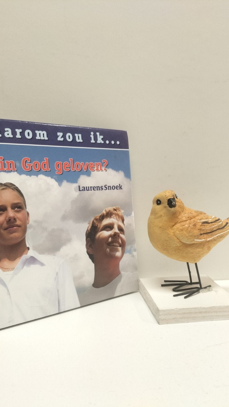 Snoek, Laurens; Waarom zou ik.. in God geloven?, Boeken, Godsdienst en Theologie, Ophalen of Verzenden, Gelezen, Christendom | Protestants