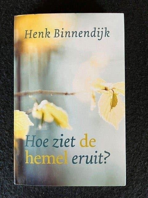 Hoe ziet de hemel eruit? - Henk Binnendijk, Ophalen of Verzenden, Zo goed als nieuw