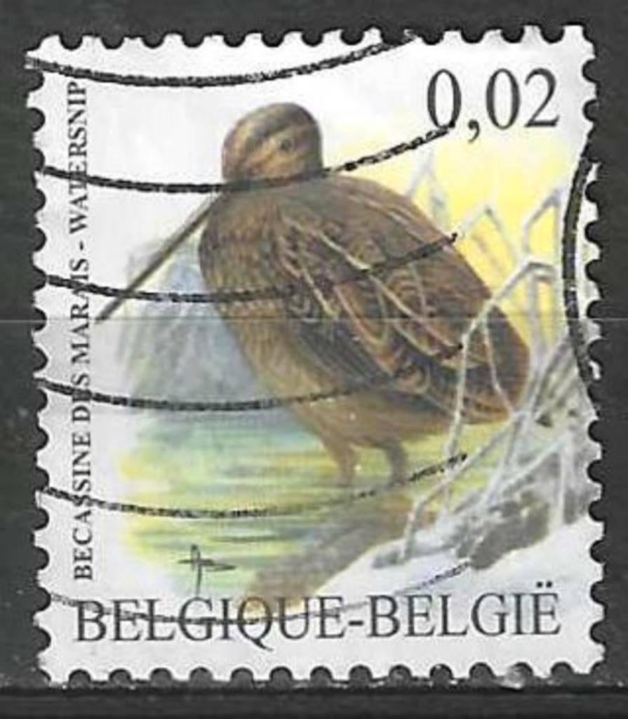 Belgie 2003 - Yvert 3192 /OBP 3199 - Buzin - Watersnip (ST), Verzenden, Gestempeld, Voertuigen