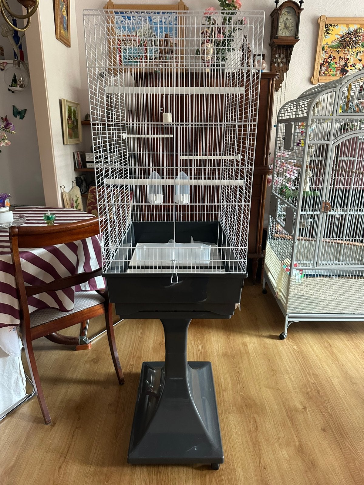Vogelkooi, Ophalen of Verzenden, Zo goed als nieuw, Metaal, Vogelkooi