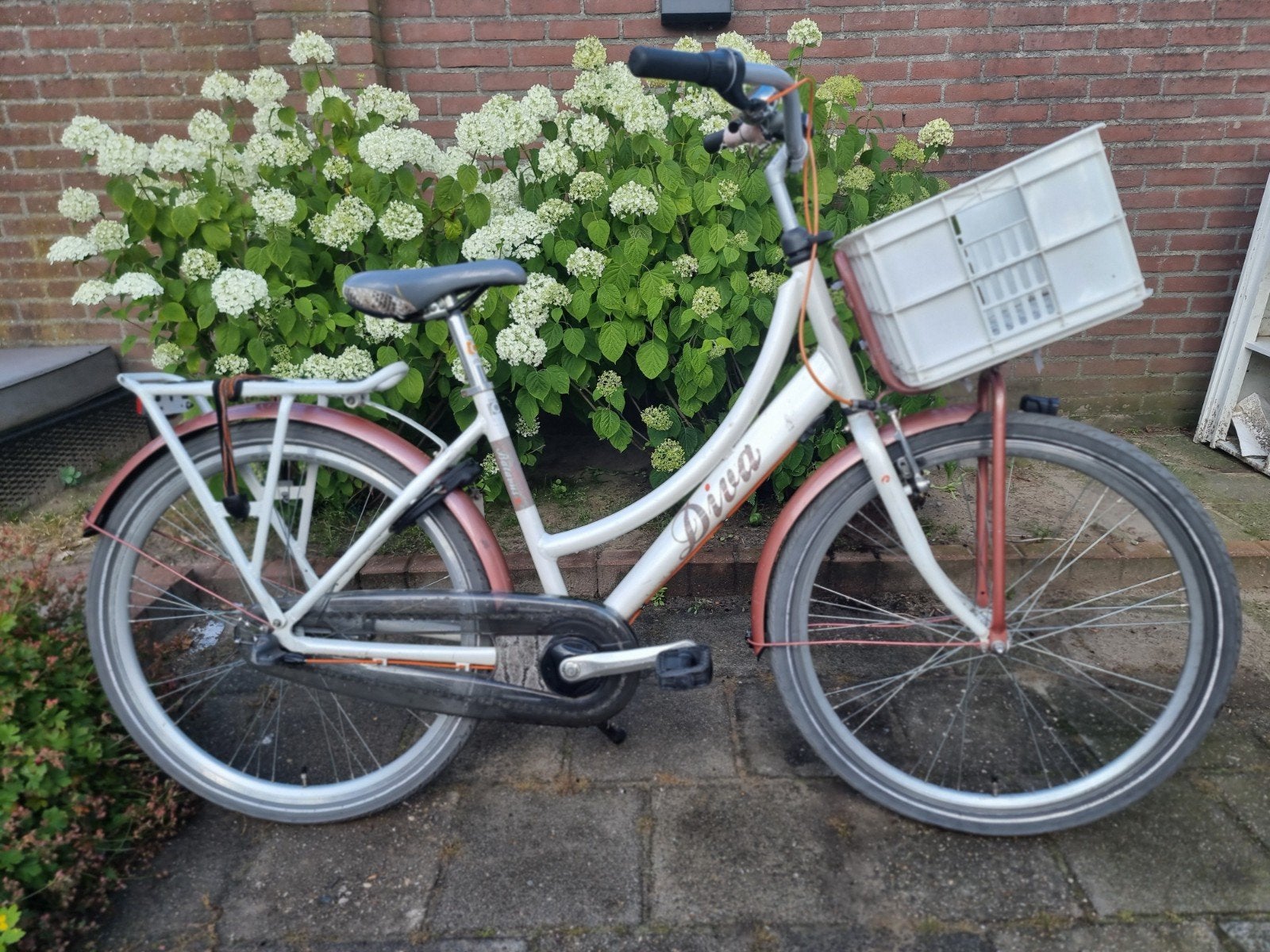 Batavus Diva 26 inch Meisjesfiets wit, Ophalen