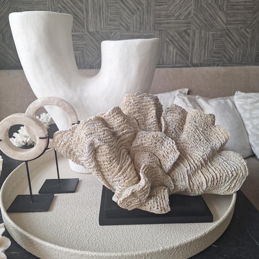 Gaaf groot beige faux koraal ornament nep op zwarte voet, Nieuw, Ophalen of Verzenden, X, X