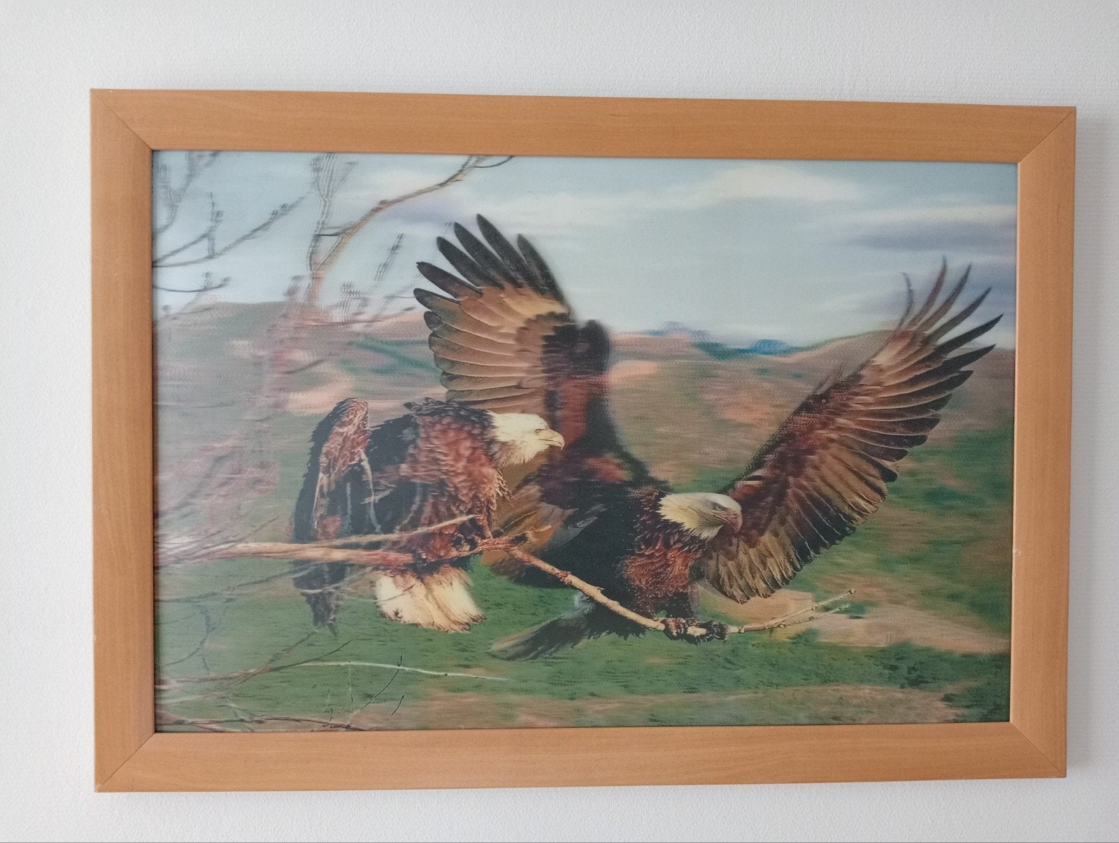 Mooie 3D prent in houten lijst., Ophalen