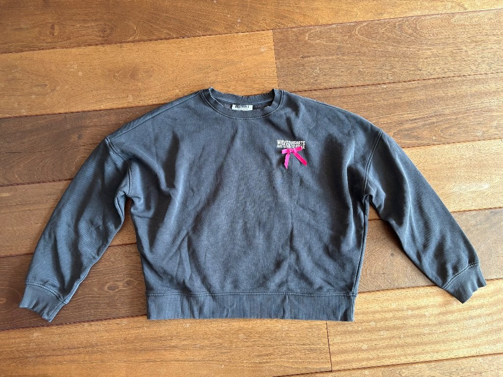 The Sting trui Distrikt maat XL nette staat €6,95, Kleding | Dames, Truien en Vesten, Distrikt Nørrebro, Maat 46/48 (XL) of groter