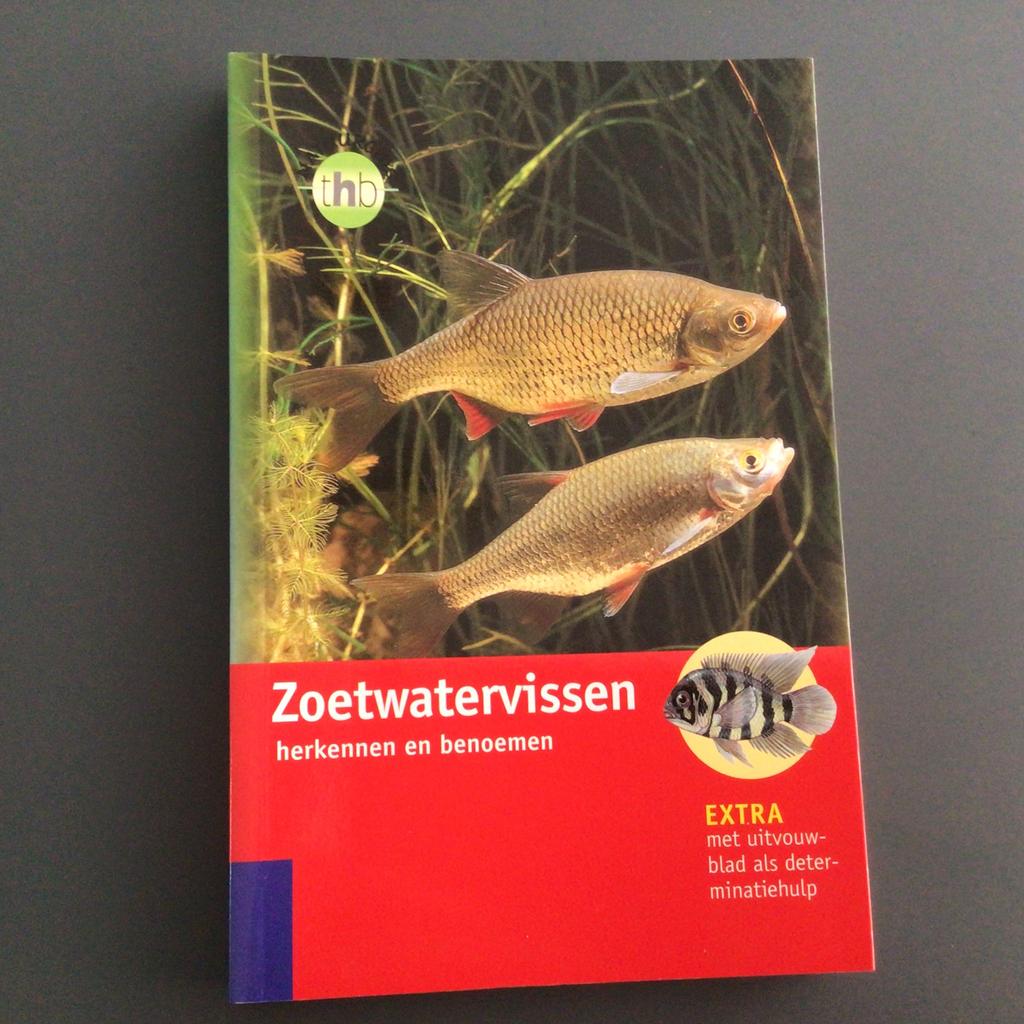 ZOETWATERVISSEN HERKENNEN EN BENOEMEN  - Uwe Hartmann, Ophalen of Verzenden, Zo goed als nieuw, Vissen