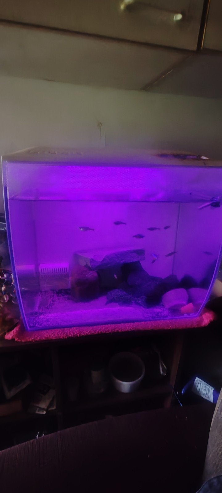 aquarium, Dieren en Toebehoren, Ophalen