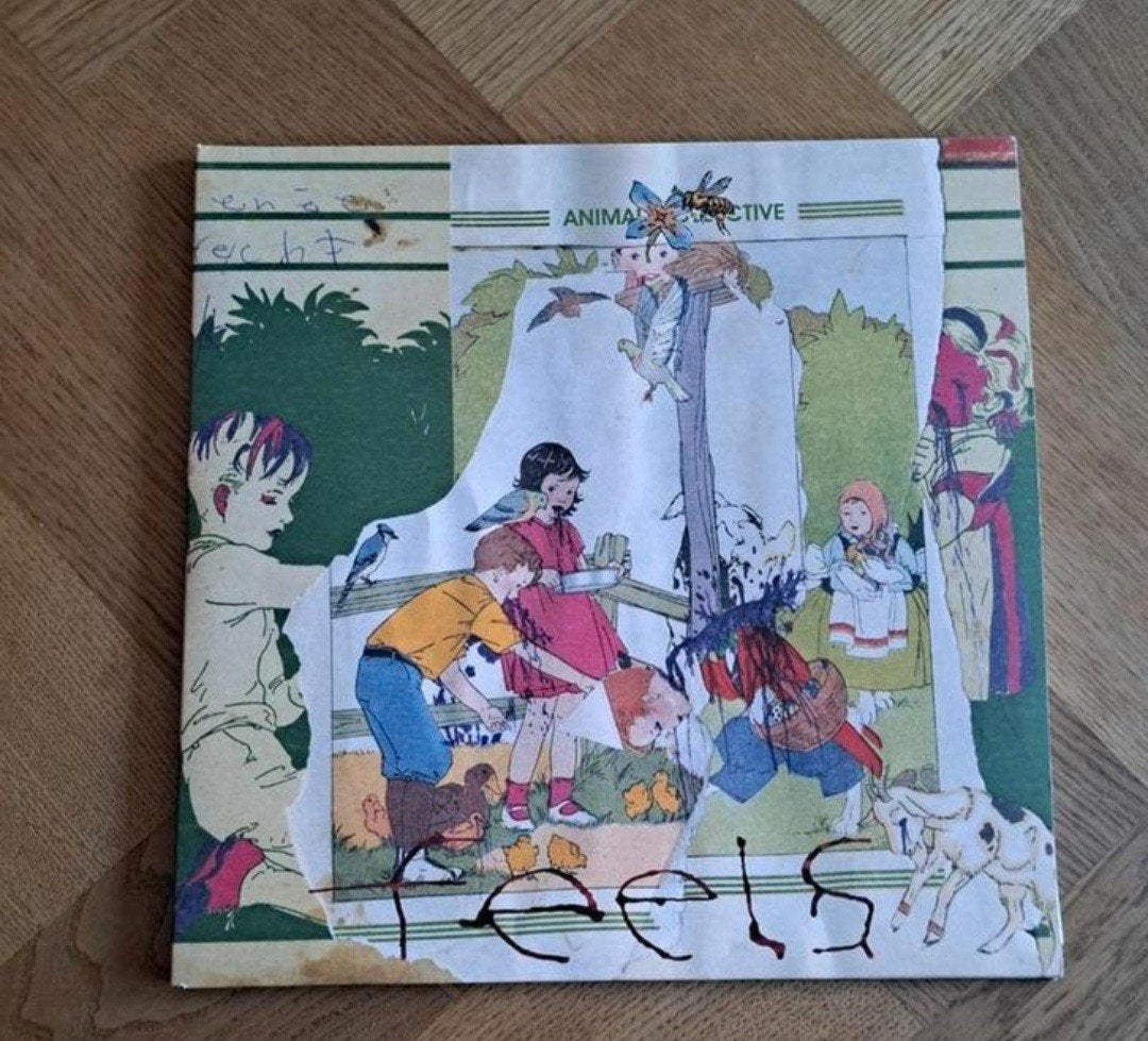 Animal Collective - Feels LP (2005), LP, Gebruikt, Ophalen of Verzenden, 12 inch