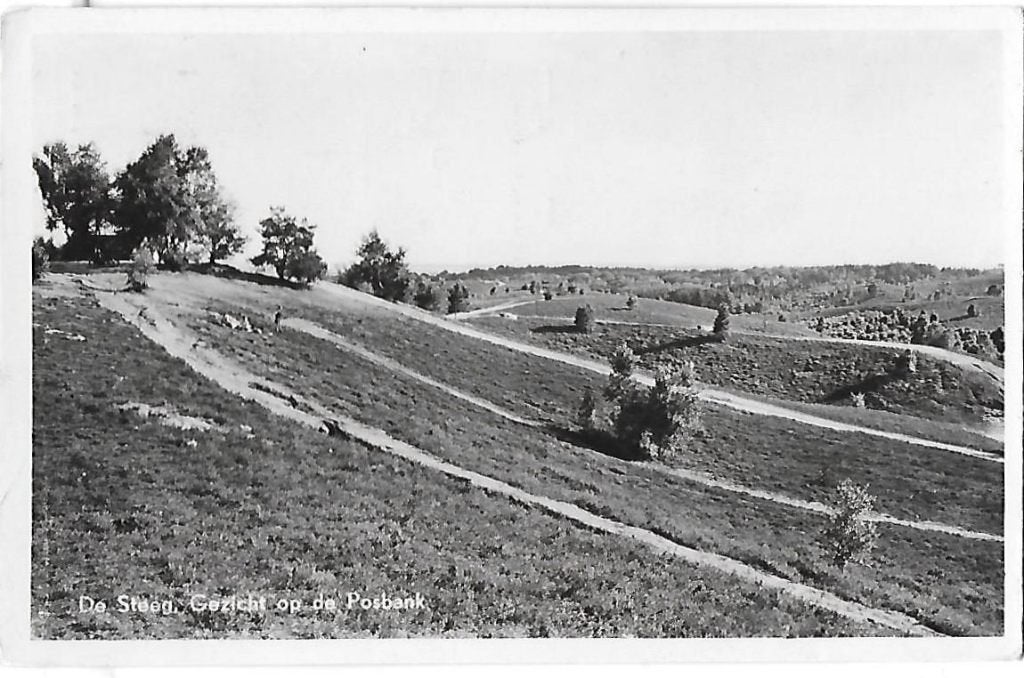 De Steeg Gezicht op de Posbank  Ansichtkaart 1953 (B613 ), Ophalen of Verzenden, 1940 tot 1960, Gelopen, Gelderland