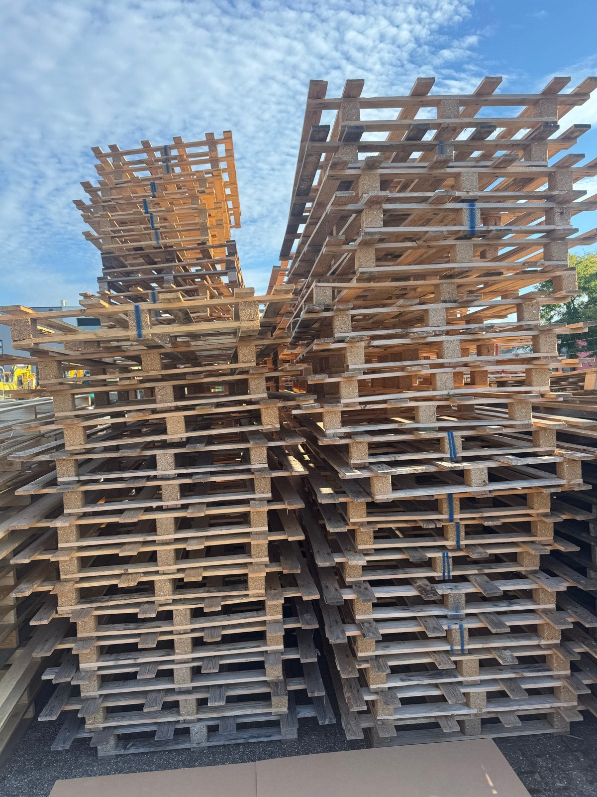 222 Pallets 2400x1200mm - 240x120cm Partij houten pallets, Ophalen, Gebruikt, 200 tot 250 cm, 50 mm of meer