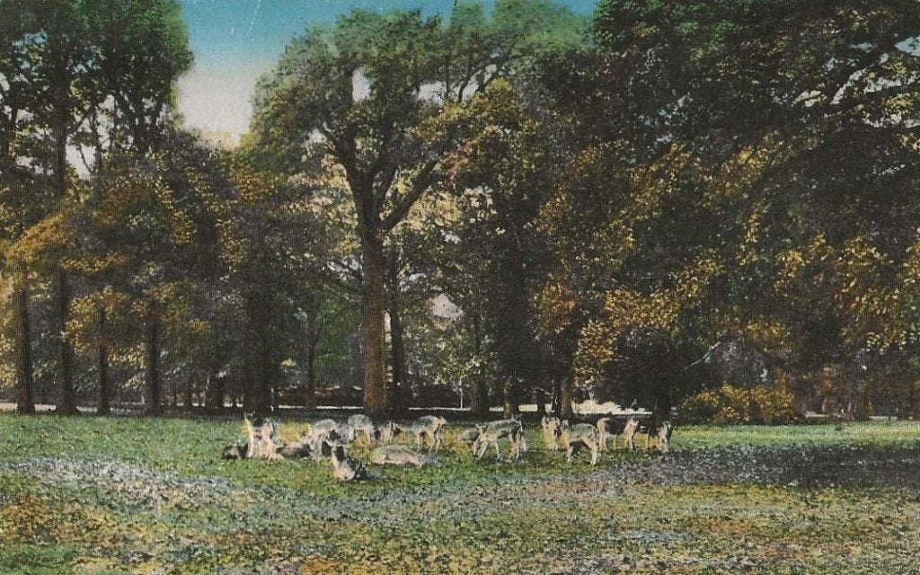 Jt-27-  378    Haarlem, Ophalen of Verzenden, 1920 tot 1940, Ongelopen, Noord-Holland