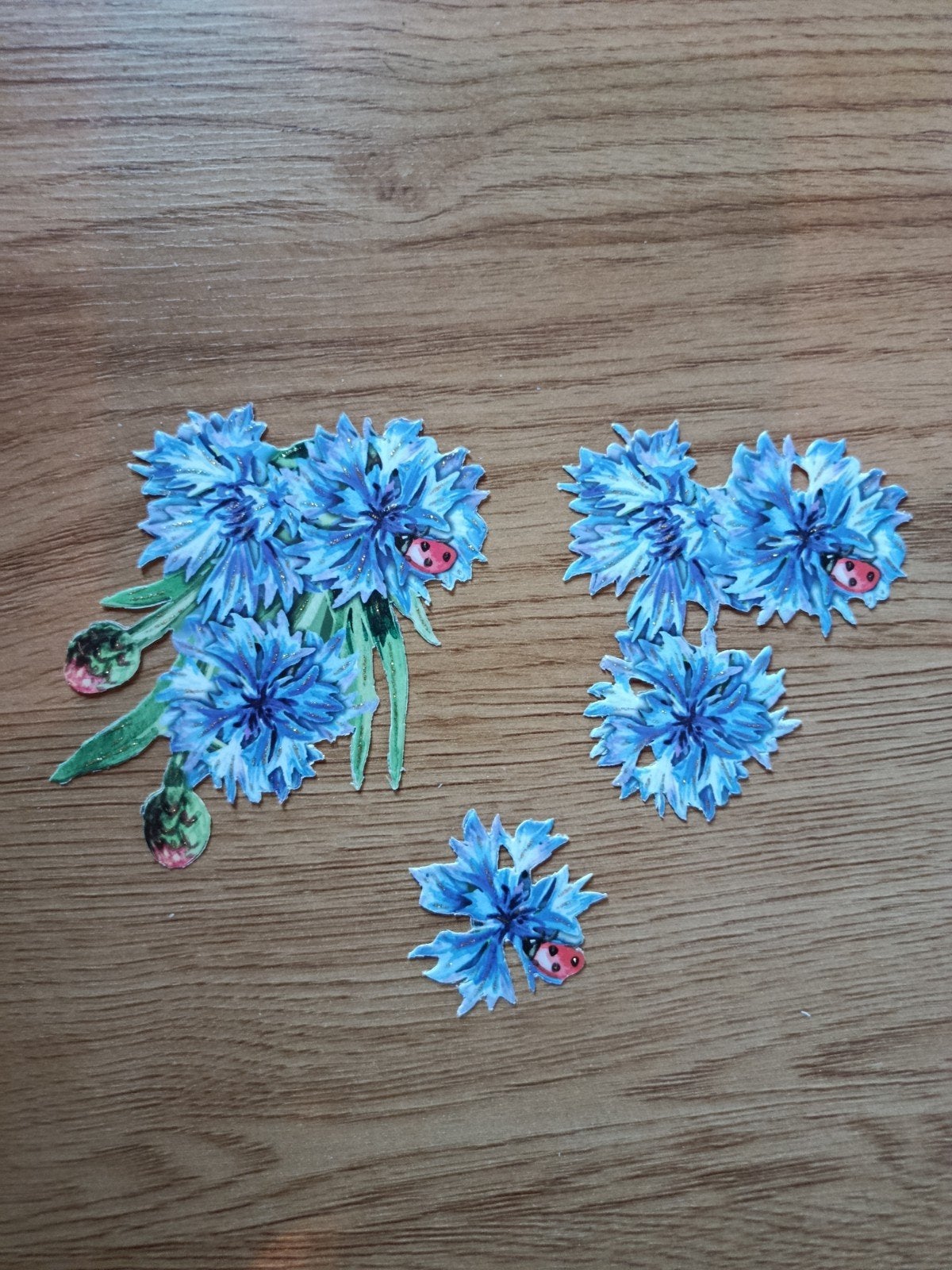 3D plaatjes Bloemen met heersbeesje,, Ophalen of Verzenden, Nieuw, Overige thema's, Overige typen