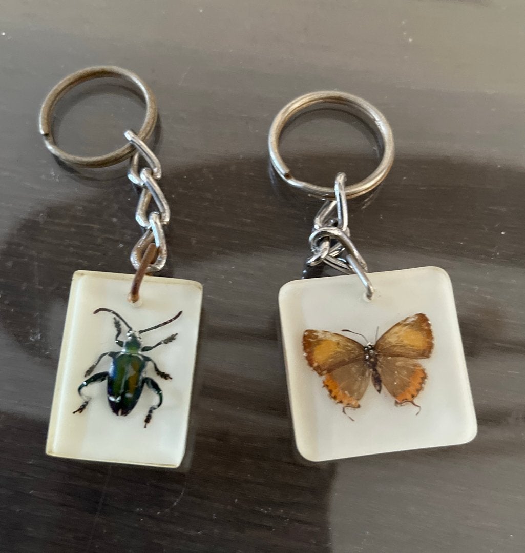 Vintage sleutelhangers met echte insecten (kever en vlinder), Ophalen of Verzenden, Gebruikt, Dier of Natuur