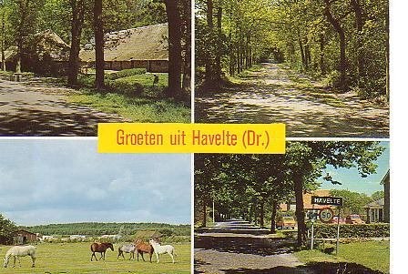 Ansichtkaart 	Havelte	4-luik	Paarden, Verzenden, 1960 tot 1980, Gelopen, Drenthe