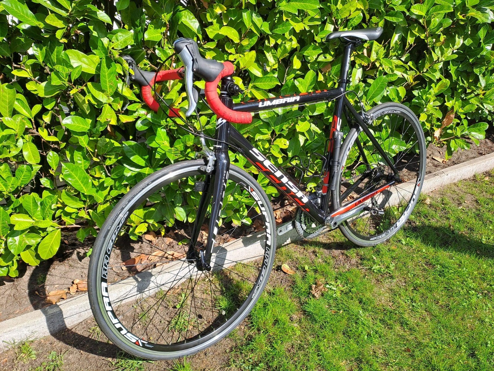 Te koop Sensa Umbria Supra maat 56 nieuwstaat, Fietsen en Brommers, Aluminium, Zo goed als nieuw, Meer dan 20 versnellingen, 53 tot 57 cm