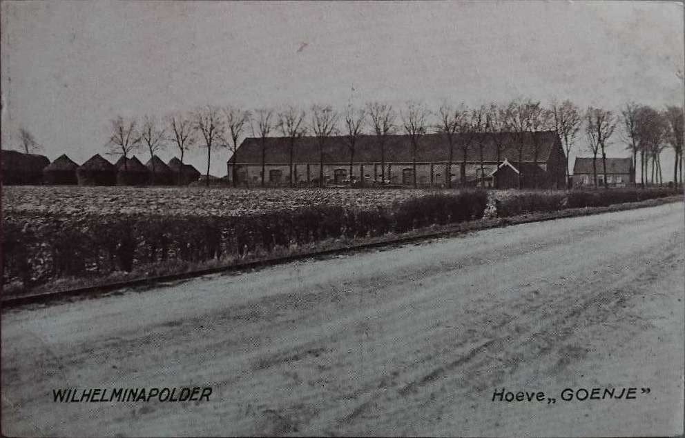 Hoeve Goenje – Wilhelminapolder (Zeeland), Ophalen of Verzenden, Voor 1920, Ongelopen, Zeeland