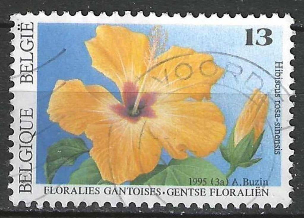Belgie 1995 - Yvert/OBP 2589 - Gentse Floralien IX (ST), Verzenden, Gestempeld