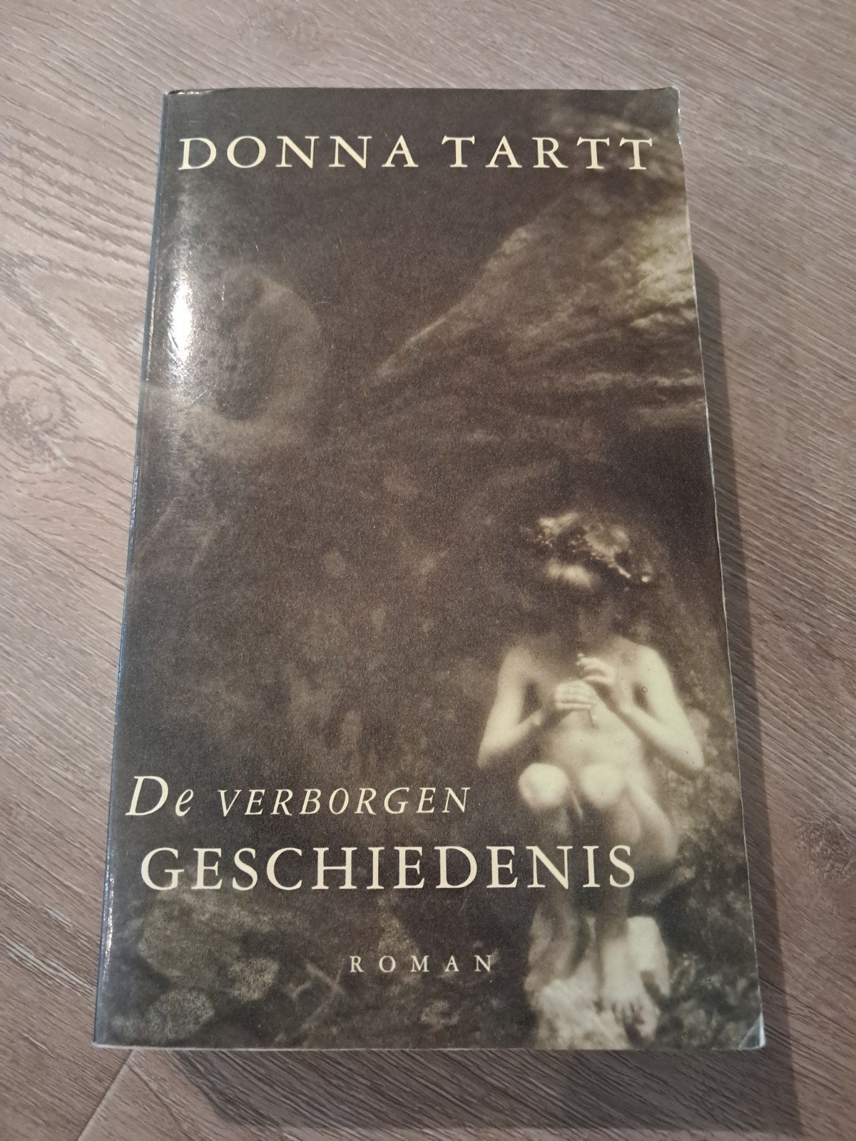 De verborgen geschiedenis - Donna Tartt (Roman), Boeken, Ophalen of Verzenden, Gelezen, Donna Tartt, Nederland