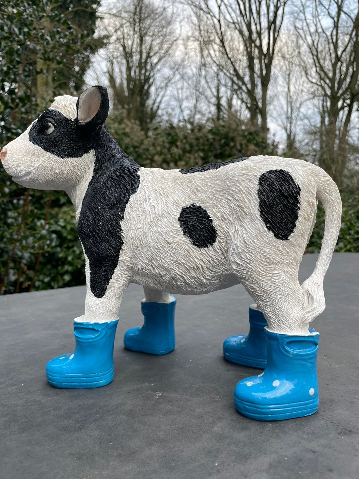 Kalf koe blauwe regenlaarsjes beeld tuin boerderij boer, Ophalen of Verzenden, Nieuw, Kunststof, Dierenbeeld