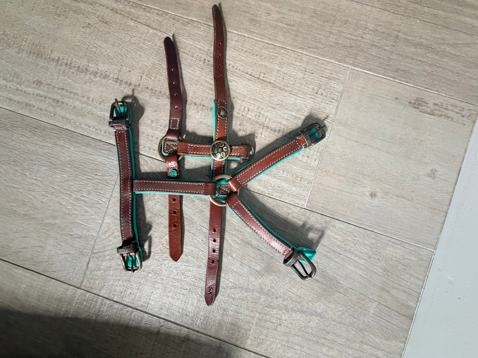 Dag with a missioen, Dieren en Toebehoren, Ophalen of Verzenden, Nieuw