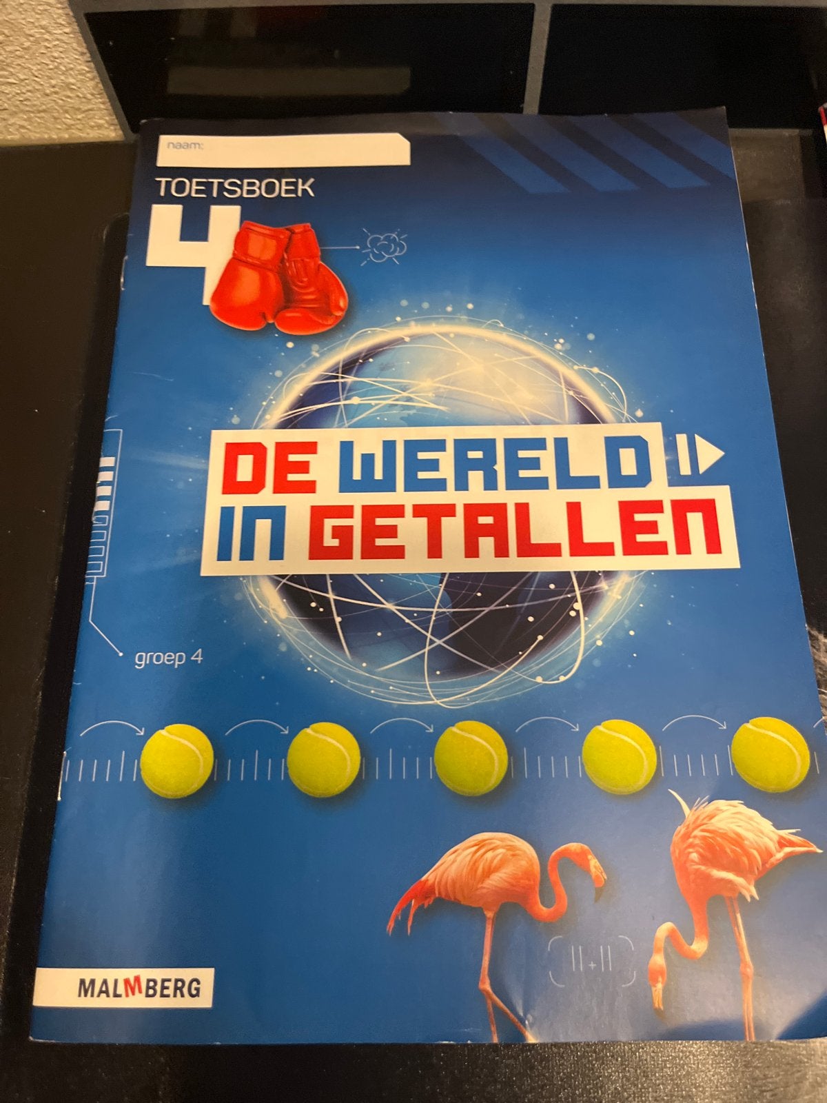 Malmberg De Wereld in Getallen 4 Toetsboek Groep 4, Boeken, Ophalen of Verzenden, Zo goed als nieuw, Overige niveaus, Wiskunde A