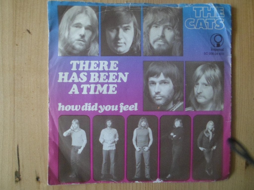 Cats, Ophalen of Verzenden, Gebruikt, 7 inch, Pop