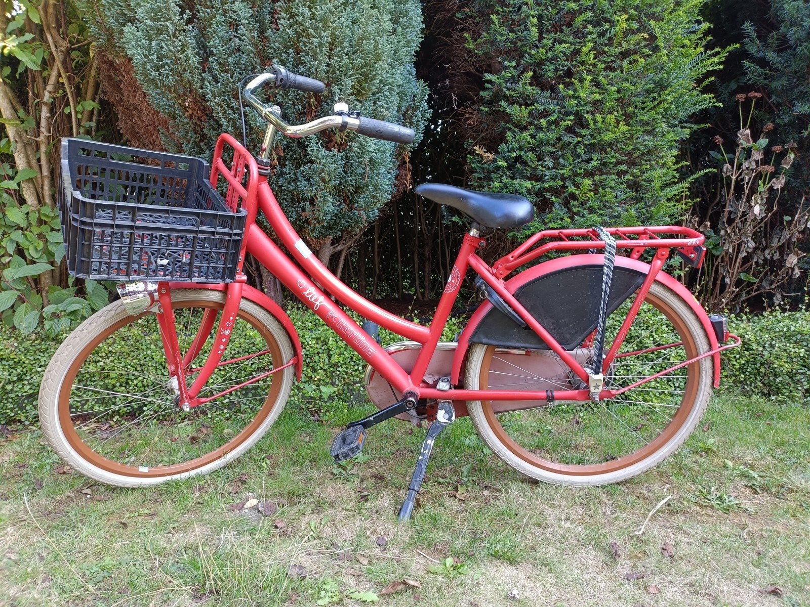 Cortina Lief fiets 24 inch, Ophalen, Terugtraprem, Handrem, Cortina