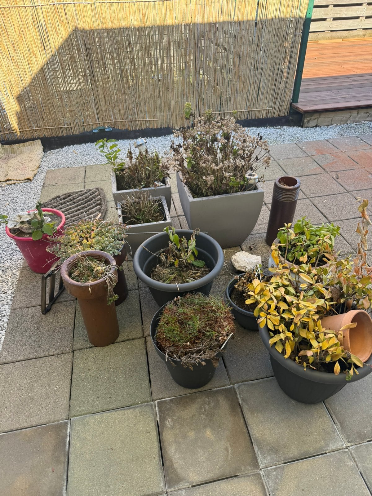 Bloempotten, Tuin en Terras, Kunststof, Minder dan 30 cm, Rond, Ophalen of Verzenden