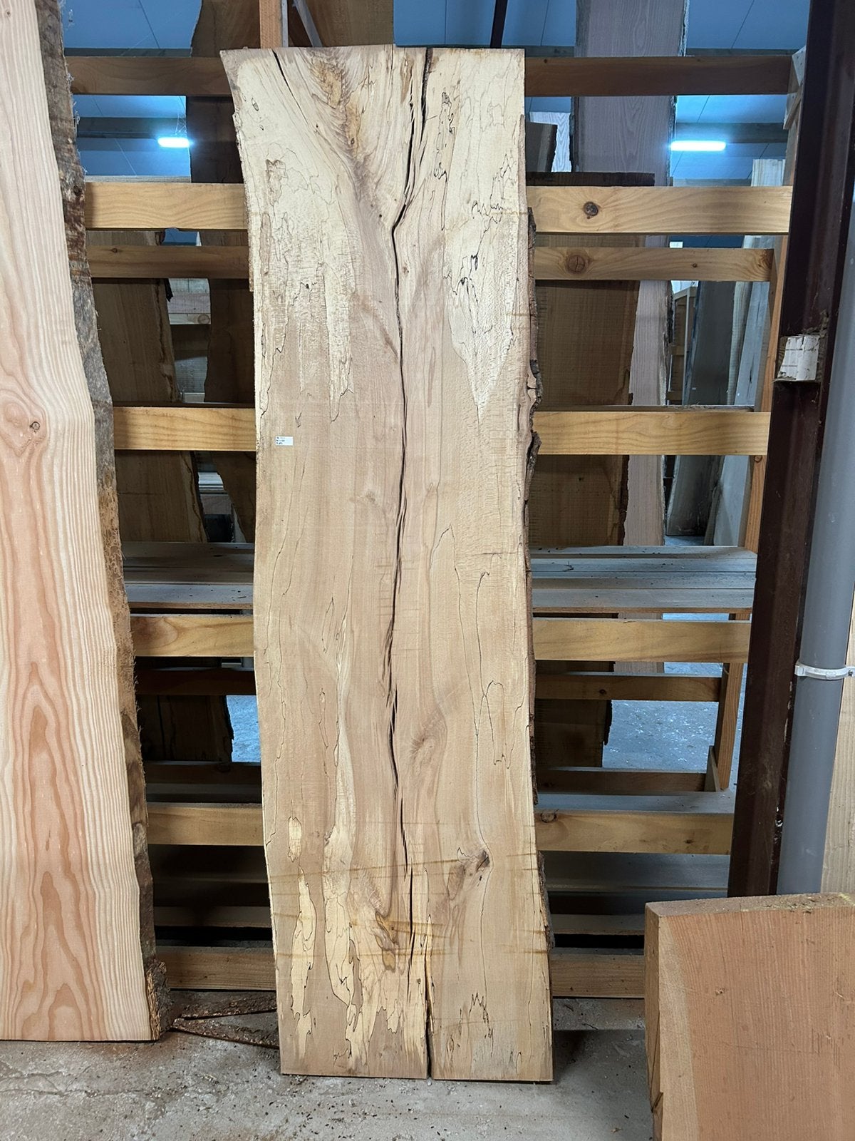 Nr 76/ Boomstamblad Spalted Beuk met slaap ca.5x60x230cm., Ophalen, Zo goed als nieuw, 250 cm of meer, Planken