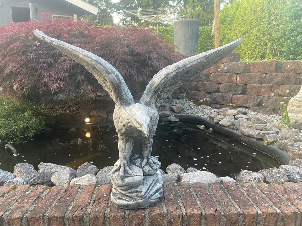 Adelaar met gespreide vleugels,, Tuin en Terras, Tuinbeelden, Ophalen, Nieuw, Beton, Dierenbeeld