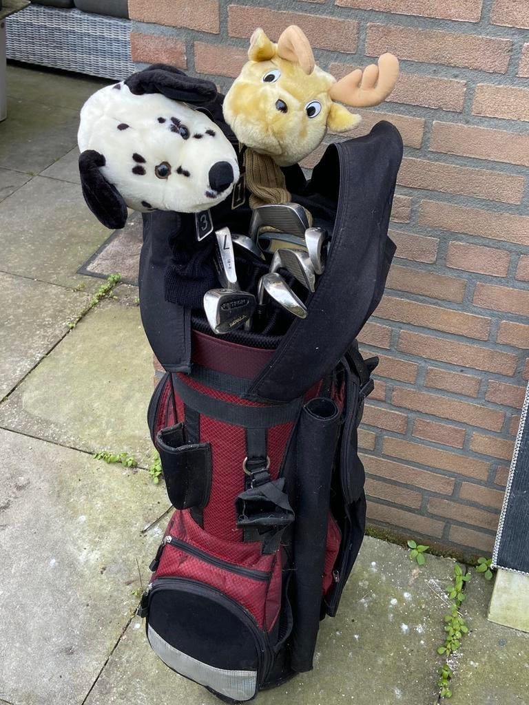 Complete golfset. Tas, clubs en golfkar, Sport en Fitness, Golf, Ophalen of Verzenden, Gebruikt, Set