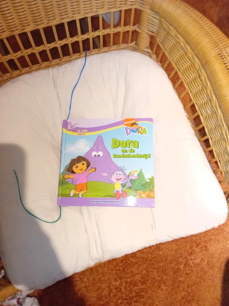 Dora leesboekjes, Kinderen en Baby's, Speelgoed | Educatief en Creatief, Ophalen of Verzenden, Zo goed als nieuw, Taal en Lezen