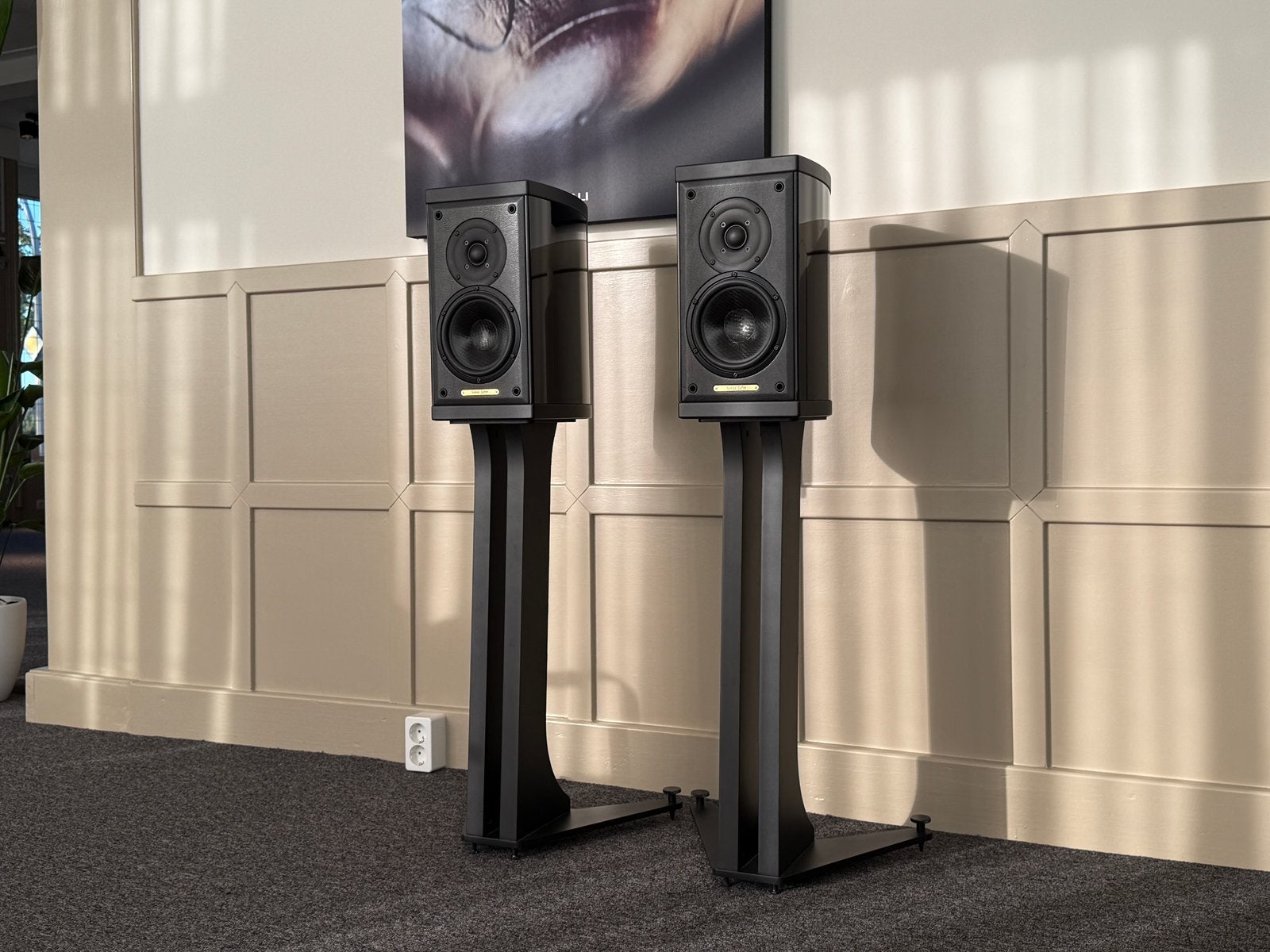 Sonus faber Liuto Monitor, Ophalen of Verzenden, Zo goed als nieuw, /, /