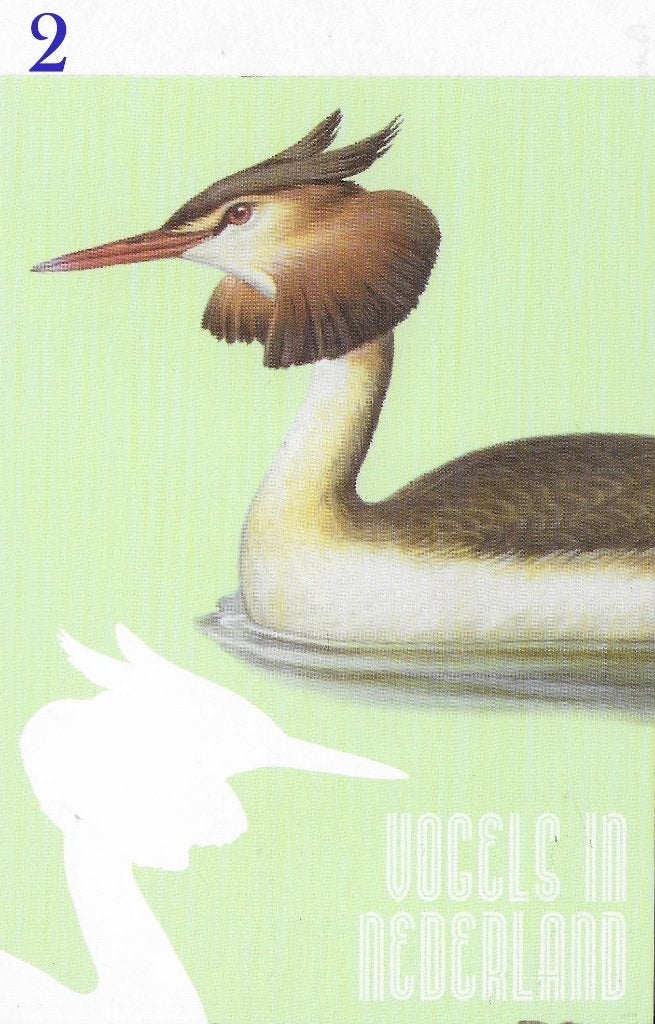 Ansichtkaart Vogels in NederlandFuut ( A3954), Ophalen of Verzenden, 1980 tot heden, Ongelopen