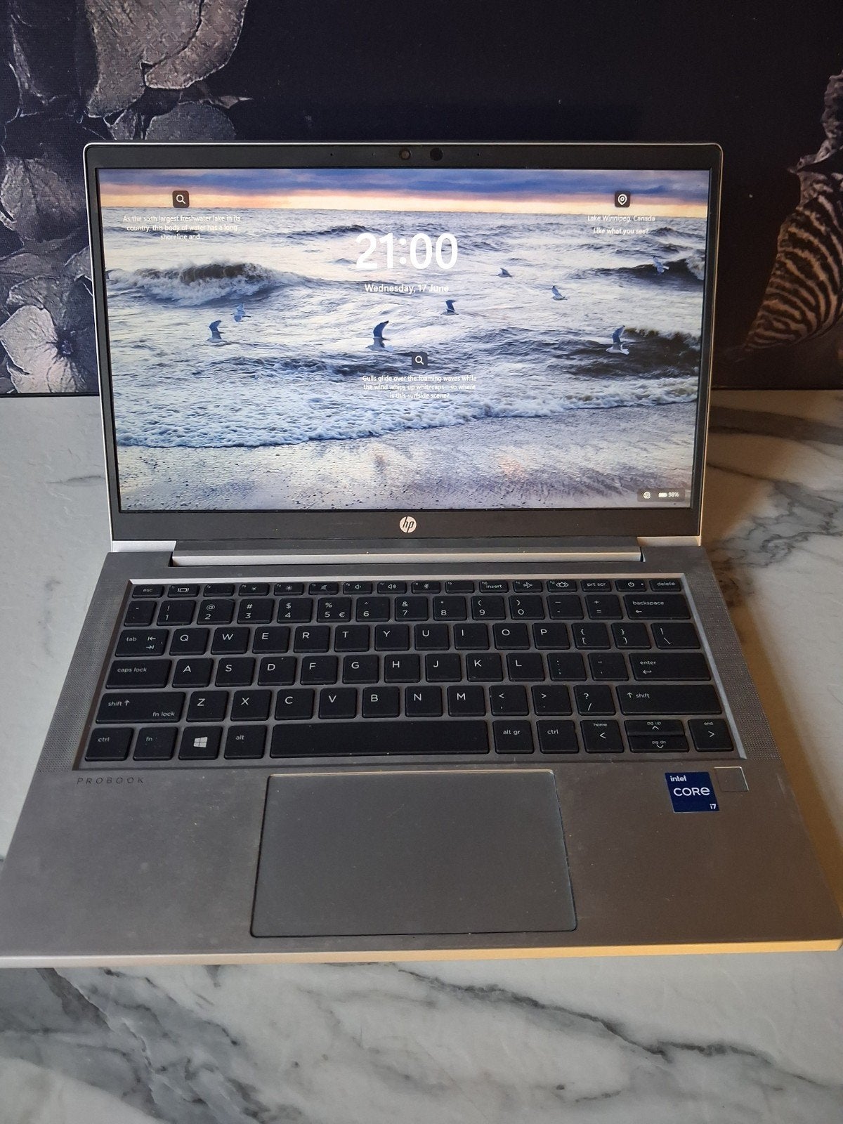 HP ProBook 430 16GB RAM 240GB SSD FHD Win 11 Pr, Computers en Software, Windows Laptops, Ophalen, 13 inch, 2 tot 3 Ghz, SSD