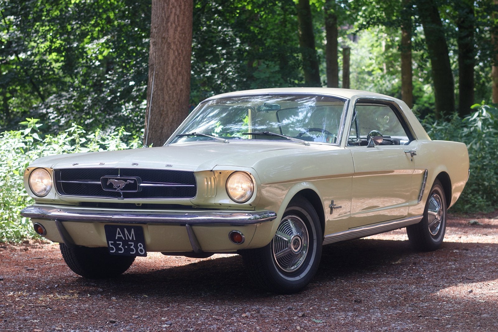 Ford Mustang 1965 Springtime Yellow, Automaat, Achterwielaandrijving, Zwart, 4 stoelen