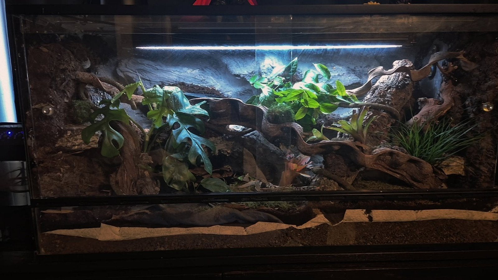 Compleet 3D terrarium 120x50x60 cm + veel accessoires, Ophalen, Gebruikt, Terrarium of Paludarium