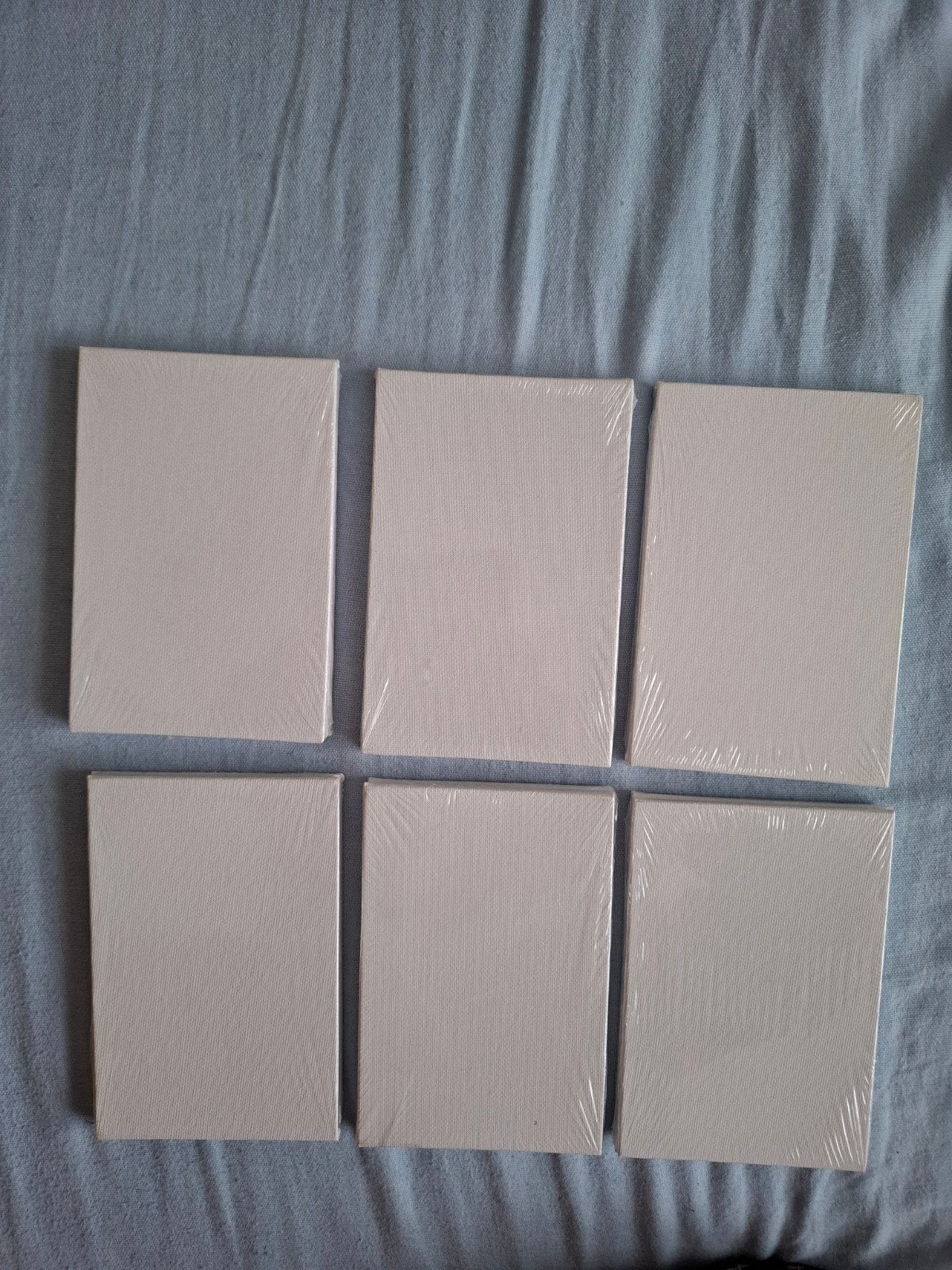 Nieuwe schilderpanelen (18 stuks) - Xenos, Ophalen of Verzenden