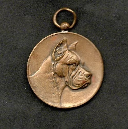 Medaille Penning Groningen Hond Boxer 1933., Ophalen of Verzenden, Zo goed als nieuw