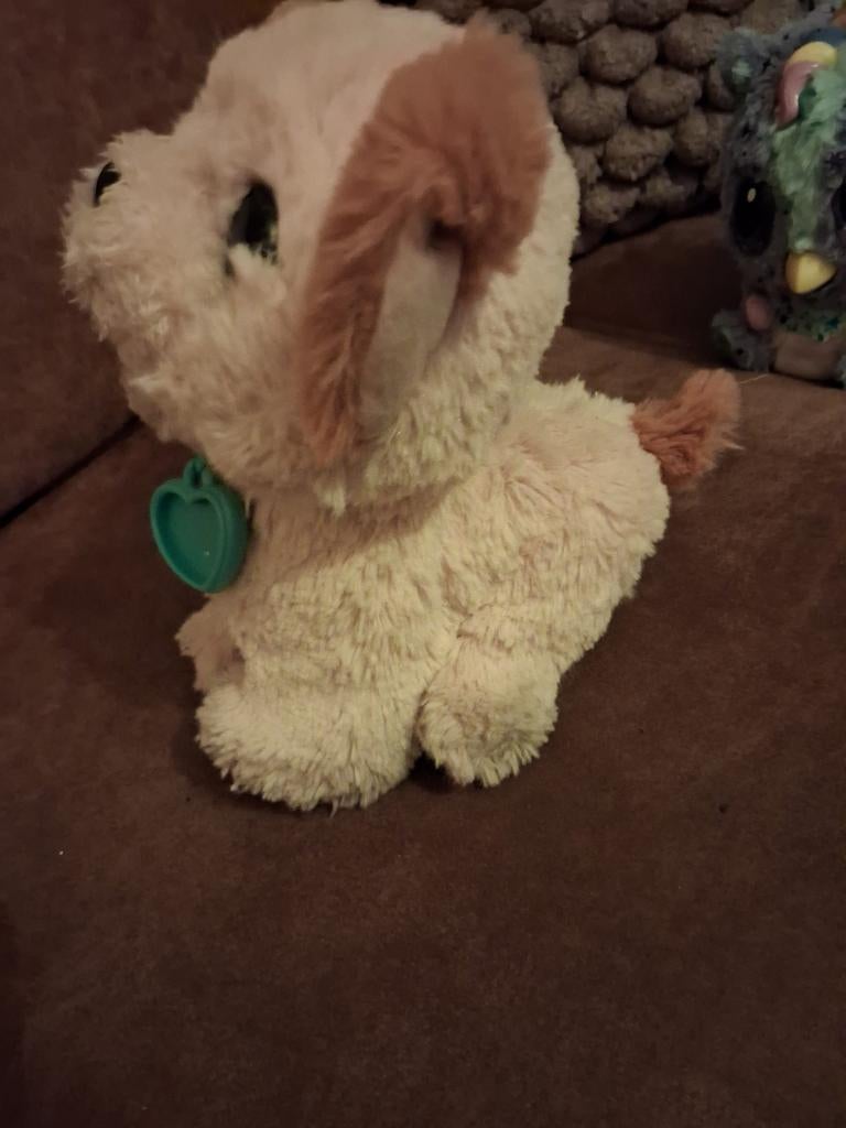 schattige hondje wat echt eet en poept, Kinderen en Baby's, Ophalen of Verzenden, Hond