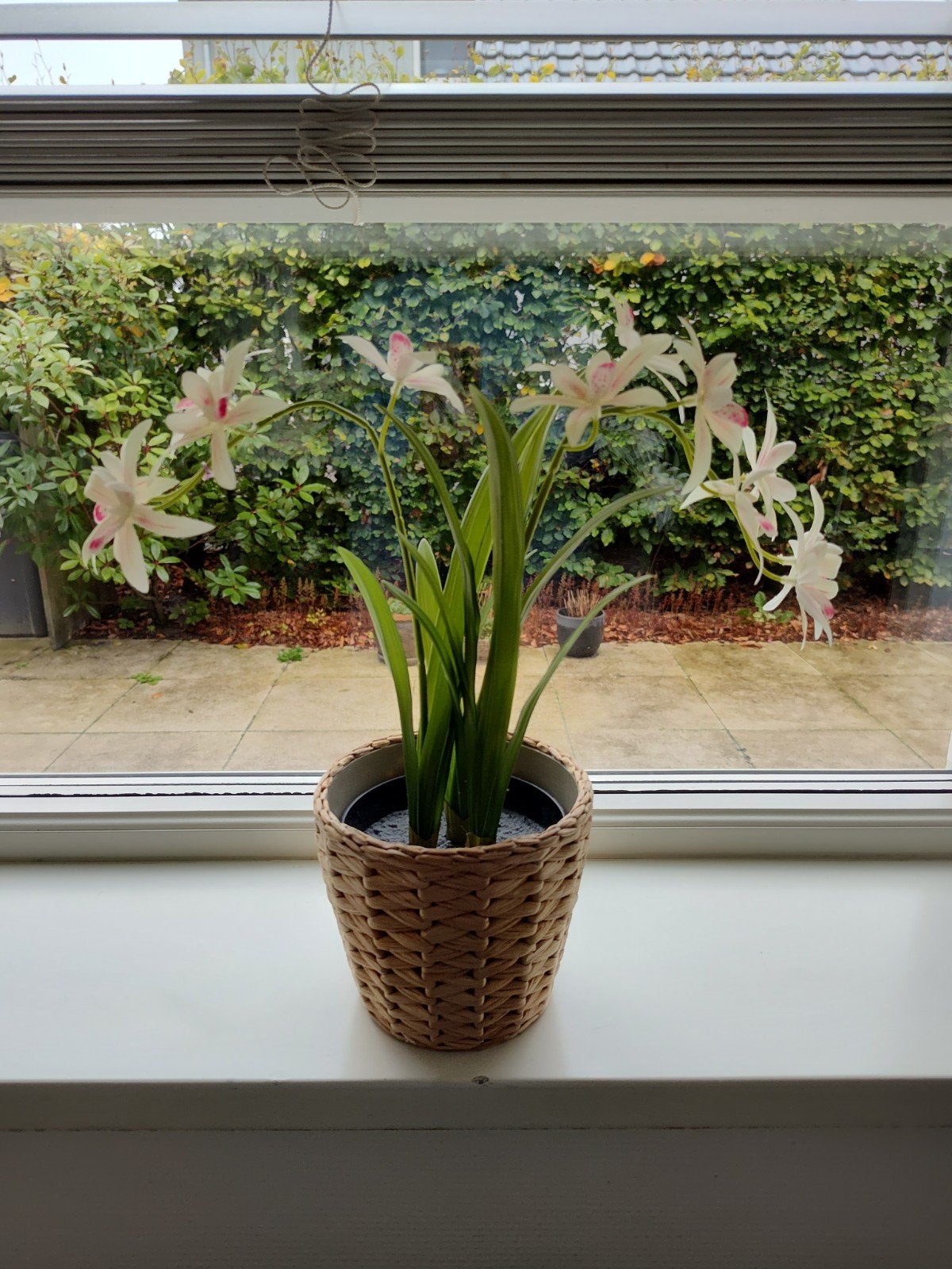 Kunstplant Orchidee in rieten pot - Wit/Roze, Ophalen, Met pot of vaas, Kunstplant, Zo goed als nieuw