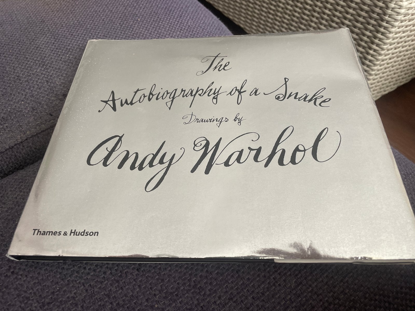 The Autobiography of a Snake - Andy Warhol (Thames & Hudson), Boeken, Ophalen of Verzenden, Zo goed als nieuw, Fotografie algemeen
