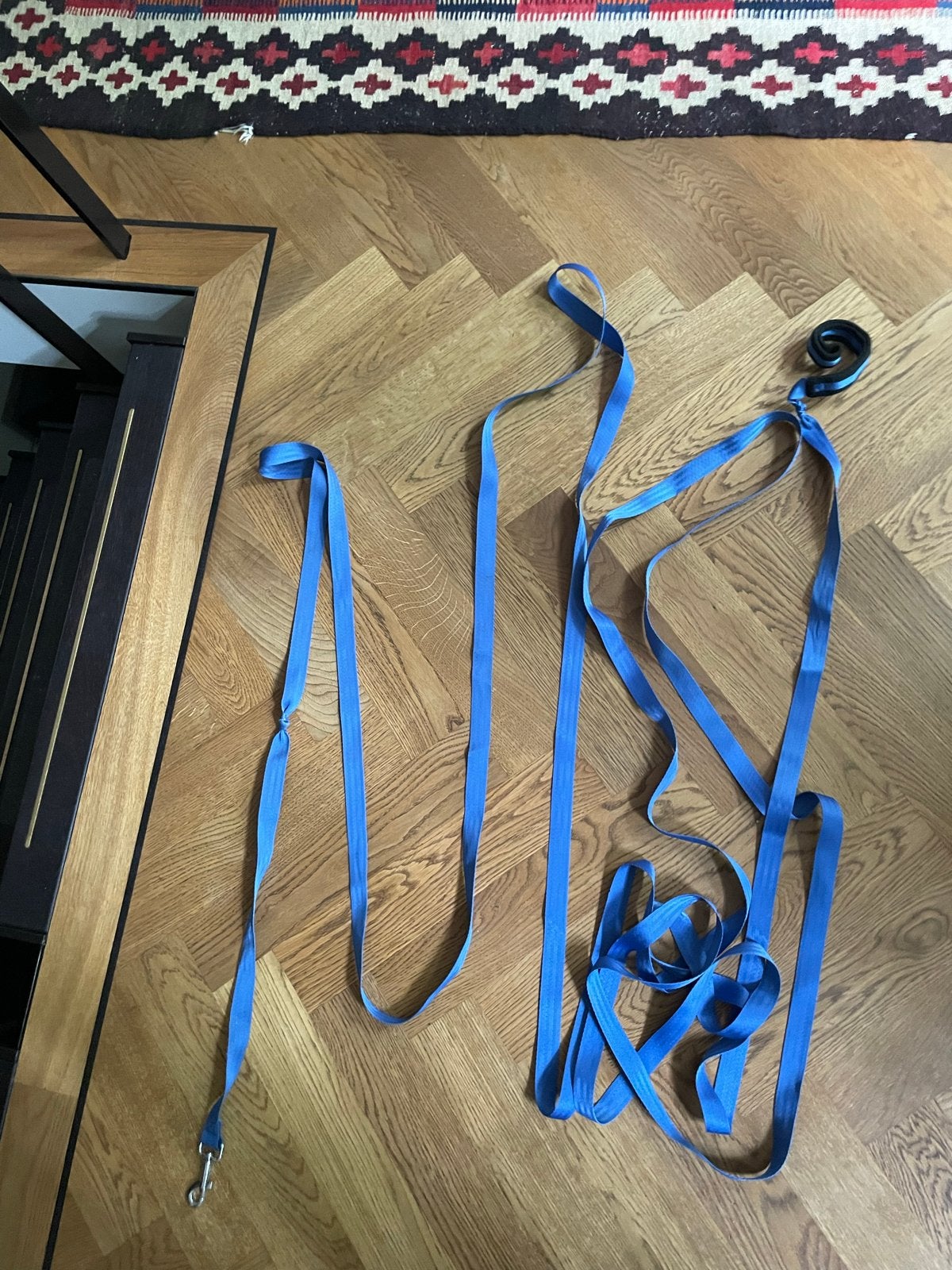 Dog leash 10 meter, Ophalen of Verzenden, Zo goed als nieuw, Hondenriem
