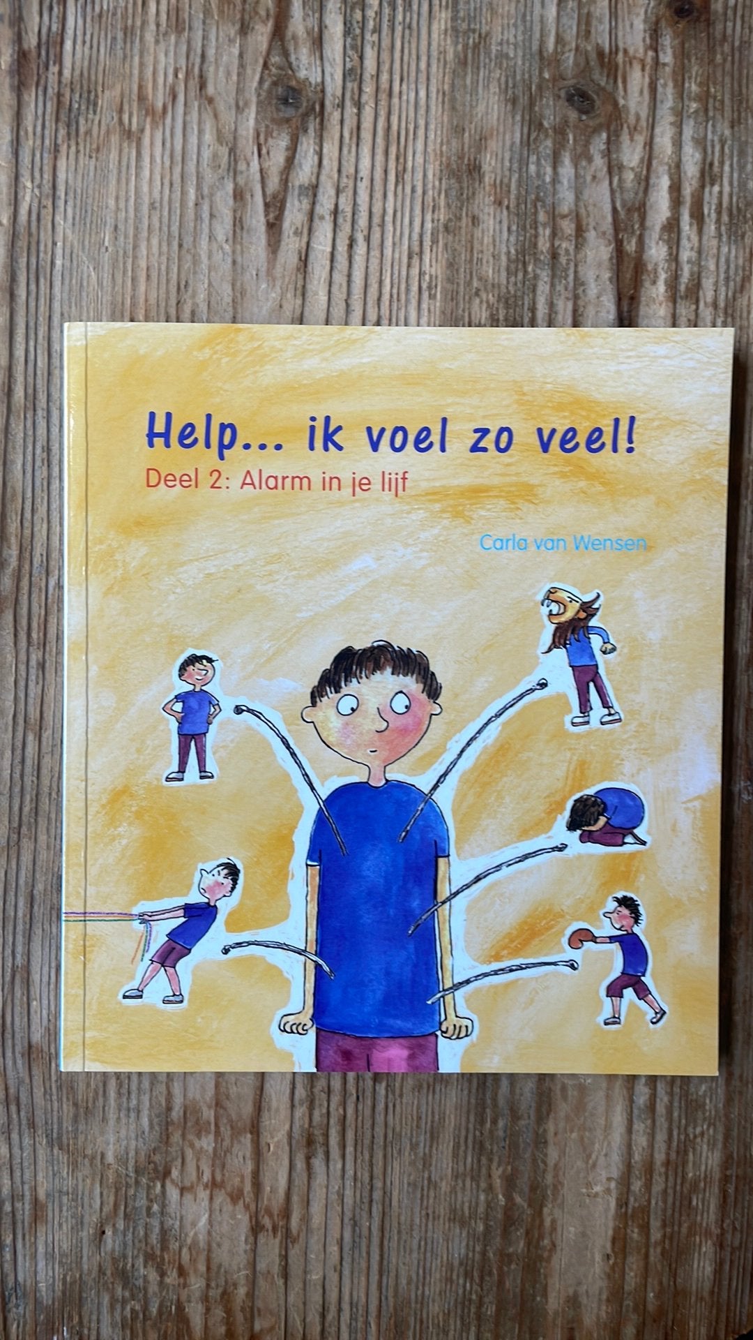 Carla van Wensen - Help…ik voel zoveel! Deel 2, Boeken, Zwangerschap en Bevalling, Ophalen of Verzenden, Zo goed als nieuw, Carla van Wensen