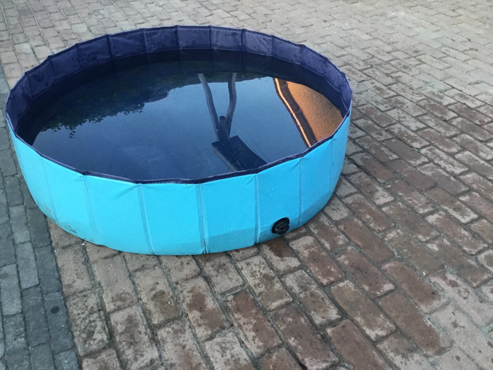Hondenbad, Dieren en Toebehoren, Ophalen of Verzenden, Zo goed als nieuw