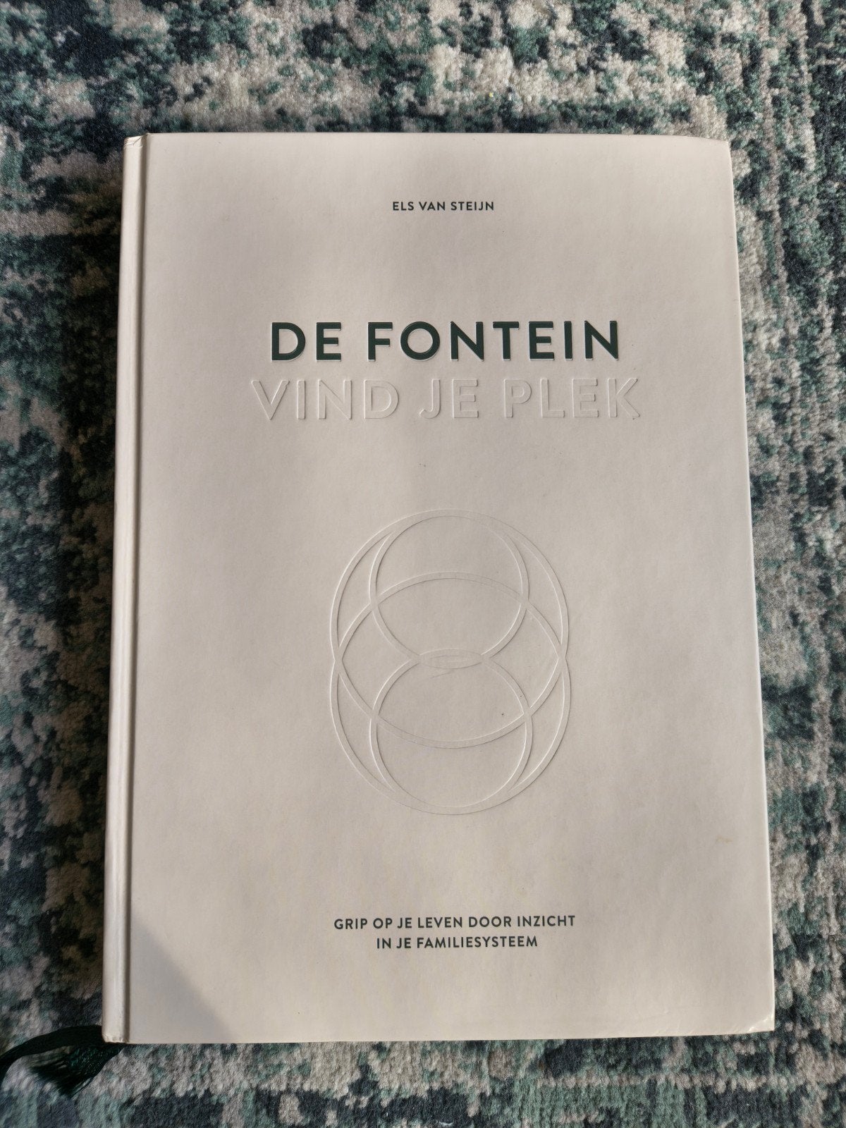 De Fontein (vind je plek) - Els van Steijn (nieuwstaat), Ophalen of Verzenden, Zo goed als nieuw, Els van Steijn