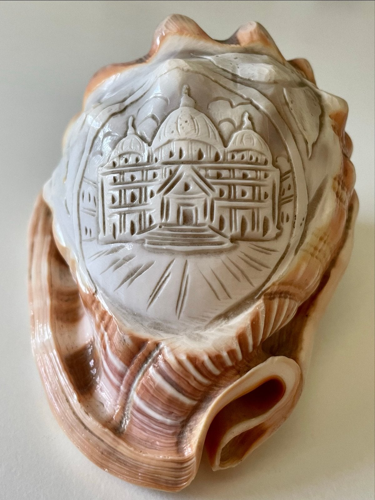 Grote gegraveerde schelp met Sacré-Cœur basiliek, Ophalen of Verzenden, Zo goed als nieuw