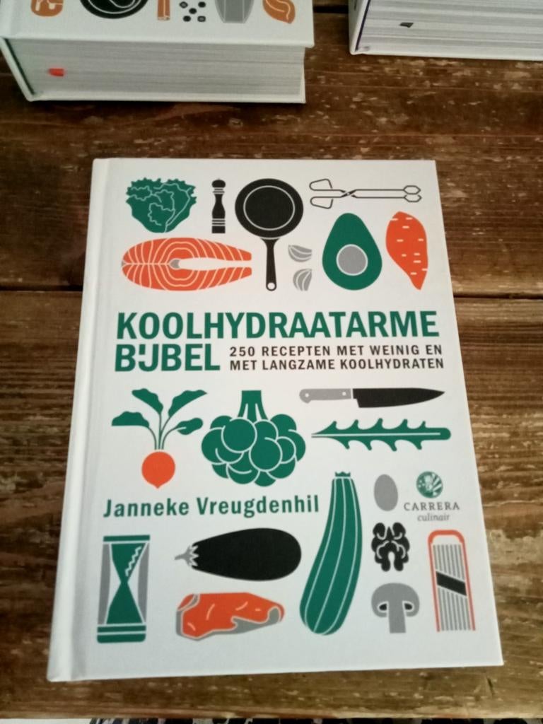 Janneke Vreugdenhil - Koolhydraatarme bijbel, Boeken, Kookboeken, Ophalen of Verzenden, Nieuw, Janneke Vreugdenhil